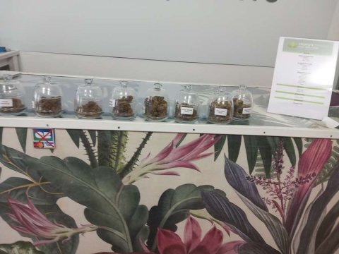 Fleurs à infuser à La Rochelle - Mary's Home